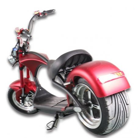 Scooter électrique Homologué Biker