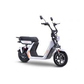 Scooter électrique homologué CITYCOCO 1500W - EuroImportMoto Dirt bike Quad  Enfants
