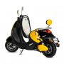 Petit Scooter électrique • 800W • 40 km/h